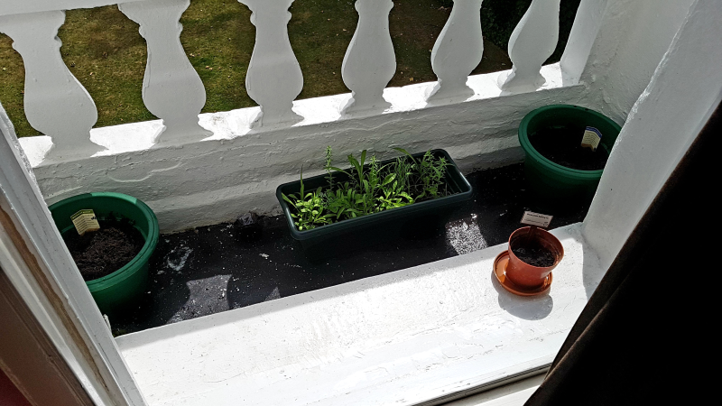 Picture of my completed planting on the balcony